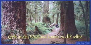 geh_in_den_wald